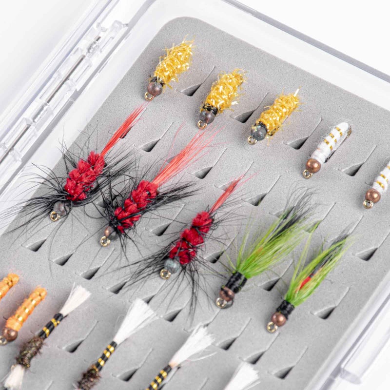 SF صندوق صيد السمك SF بلاستيك جيب صناديق ذبابة رقيقة غطاء شفاف صناديق صيد السمك بفوم شق سهل - Image 5